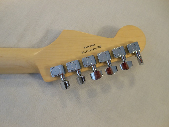 Standard Stratocaster HSS Picture 4